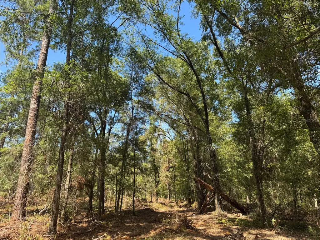 Tbd NE Cr 1475 Road Gainesville FL 32609