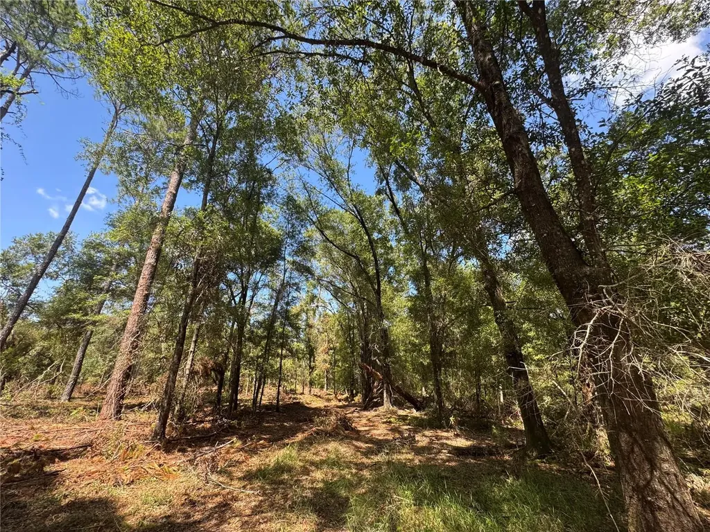 Tbd NE Cr 1475 Road Gainesville FL 32609