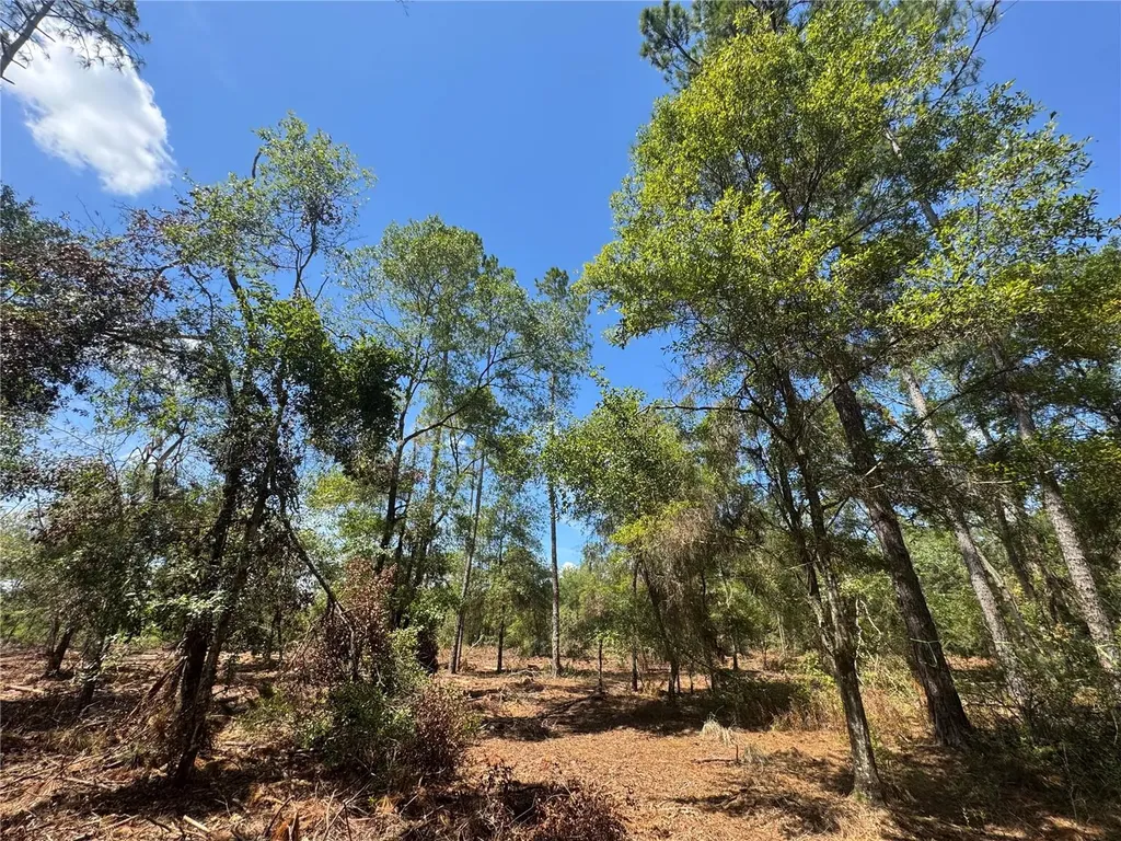 Tbd NE Cr 1475 Road Gainesville FL 32609