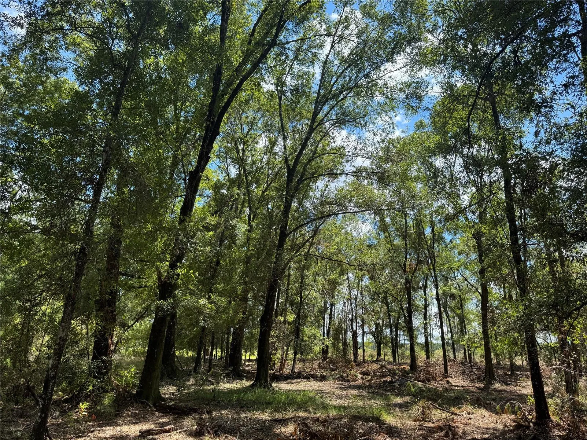 Tbd NE Cr 1475 Road Gainesville FL 32609