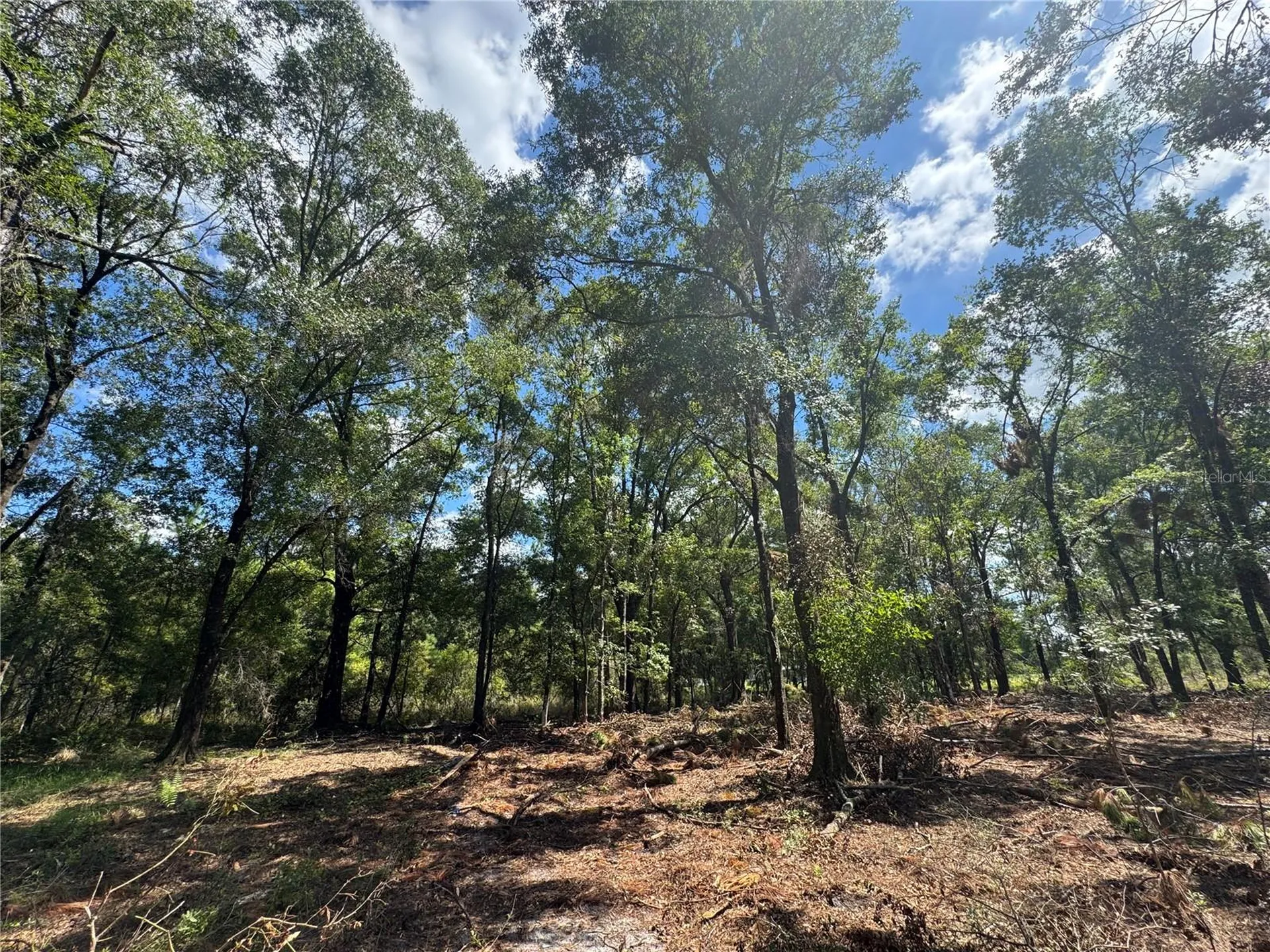 Tbd NE Cr 1475 Road Gainesville FL 32609