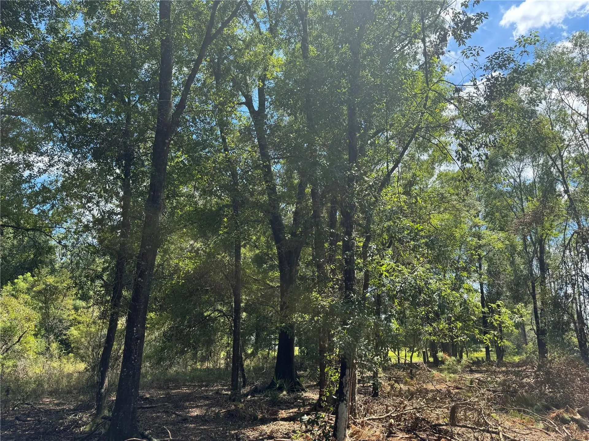 Tbd NE Cr 1475 Road Gainesville FL 32609