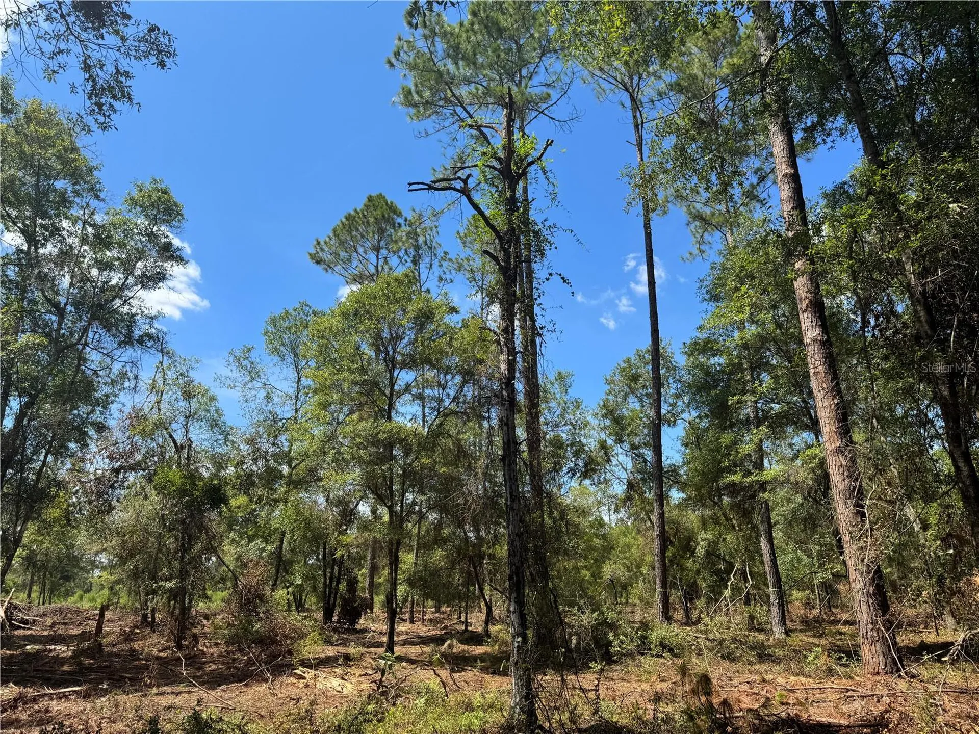 Tbd NE Cr 1475 Road Gainesville FL 32609