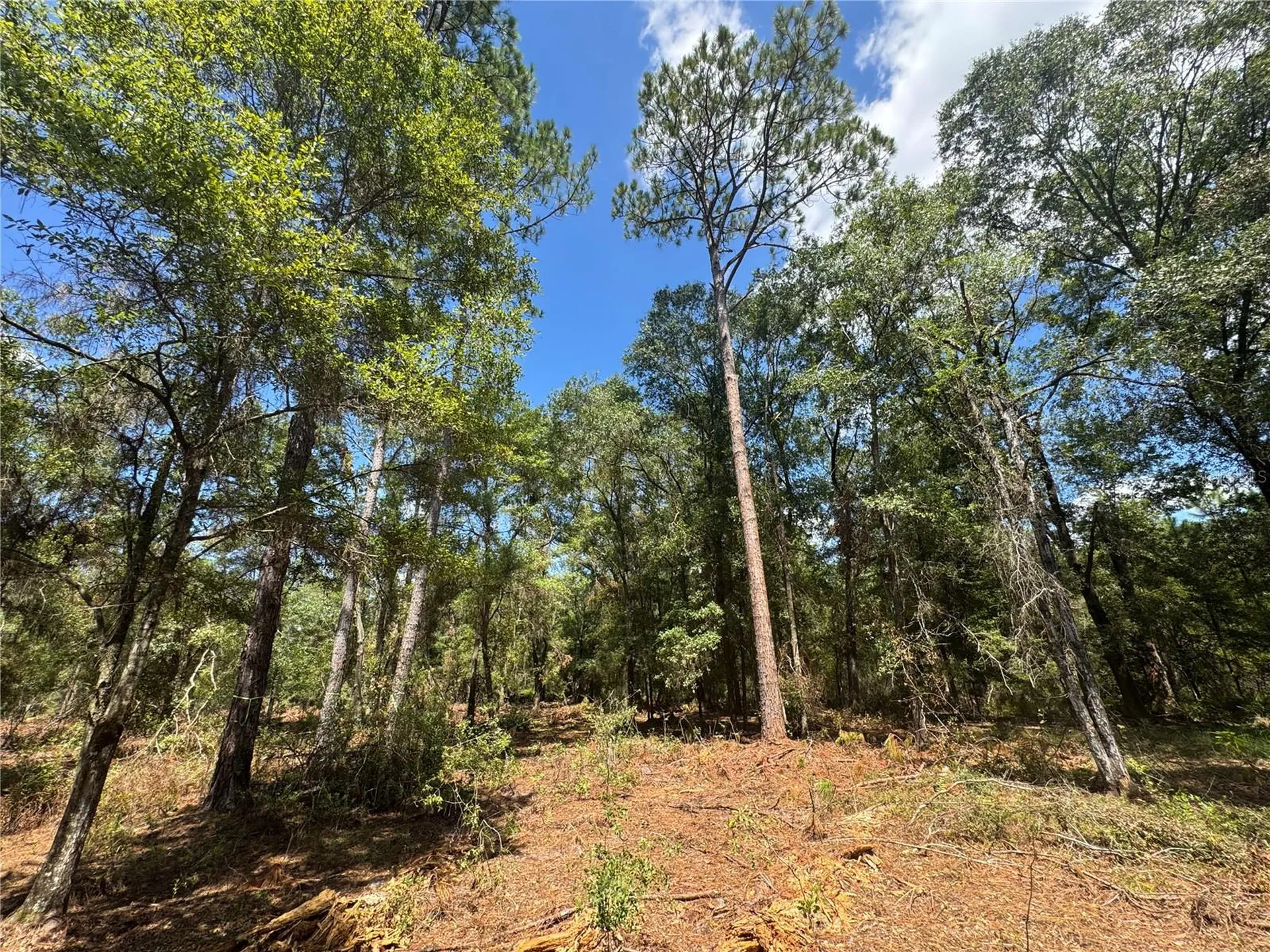 Tbd NE Cr 1475 Road Gainesville FL 32609