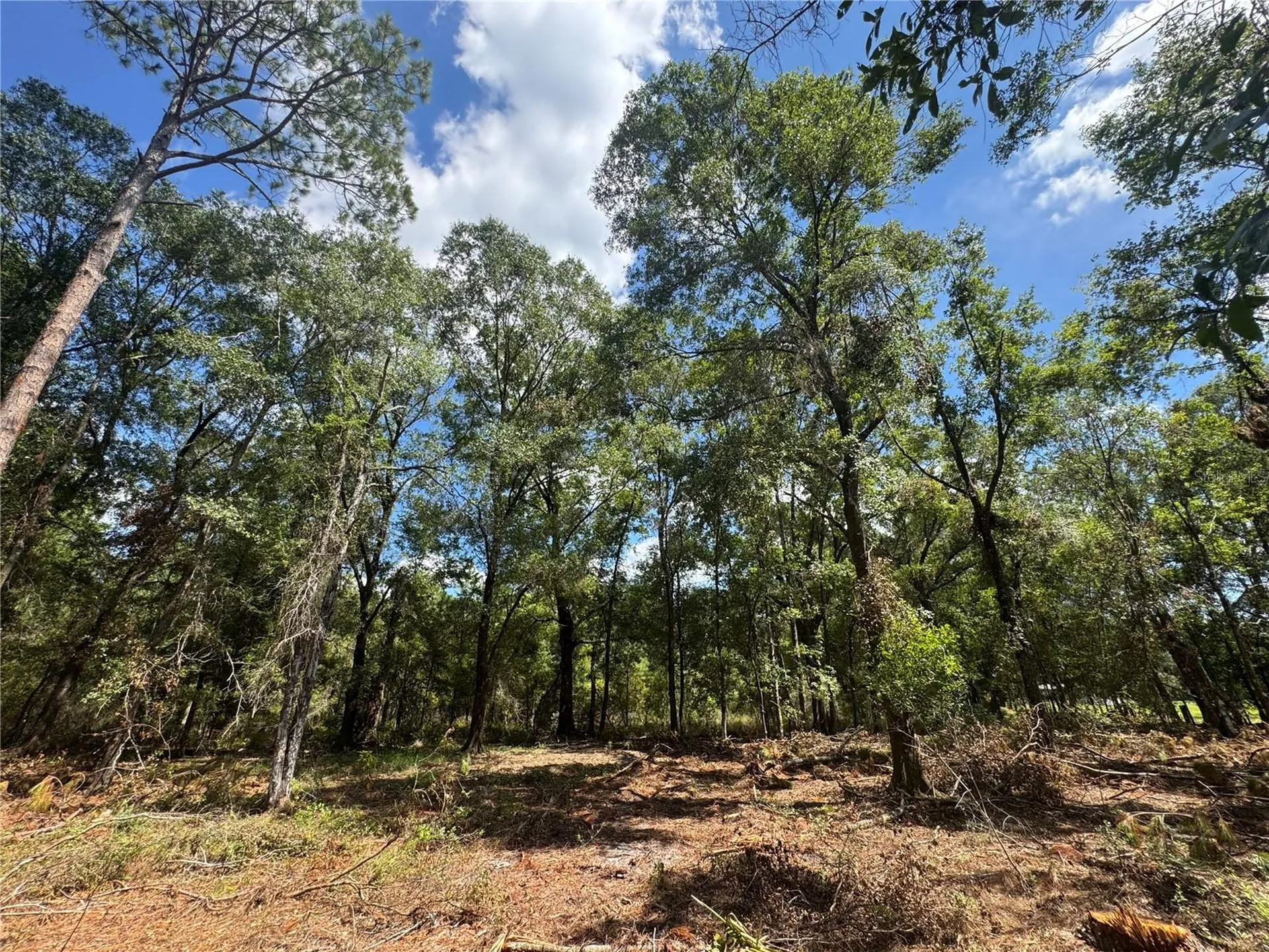 Tbd NE Cr 1475 Road Gainesville FL 32609