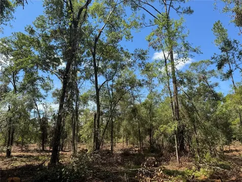 Tbd NE Cr 1475 Road Gainesville FL 32609