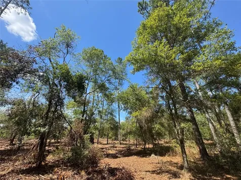 Tbd NE Cr 1475 Road Gainesville FL 32609