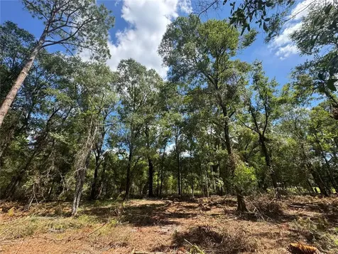 Tbd NE Cr 1475 Road Gainesville FL 32609