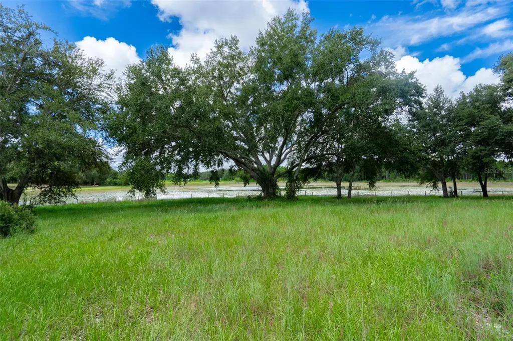 18301 S Obrien Road Groveland FL 34736