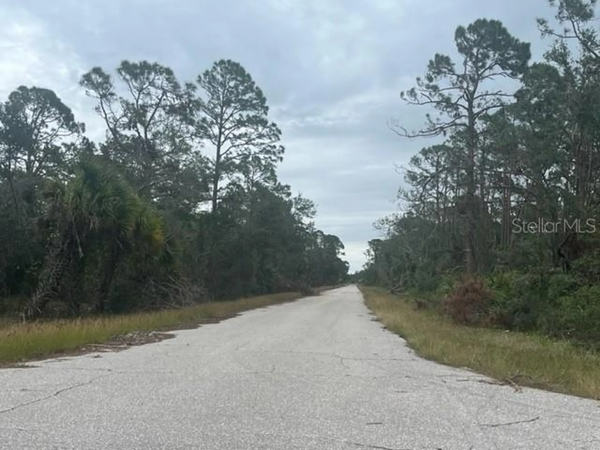 17051 Carson Avenue Port Charlotte FL 33948