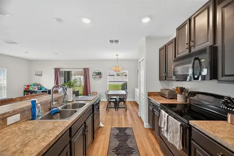 16703 Myrtle Sand Drive Wimauma FL 33598