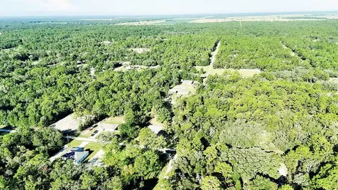 9229 SW 125th Court Road Dunnellon FL 34432