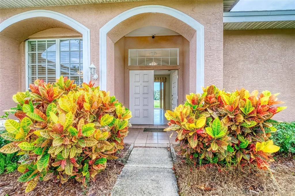 1775 Barn Owl Way Palm Harbor FL 34683