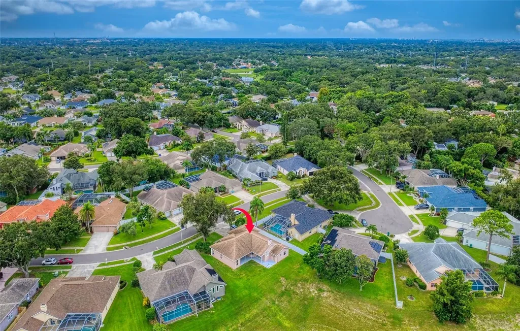 1775 Barn Owl Way Palm Harbor FL 34683