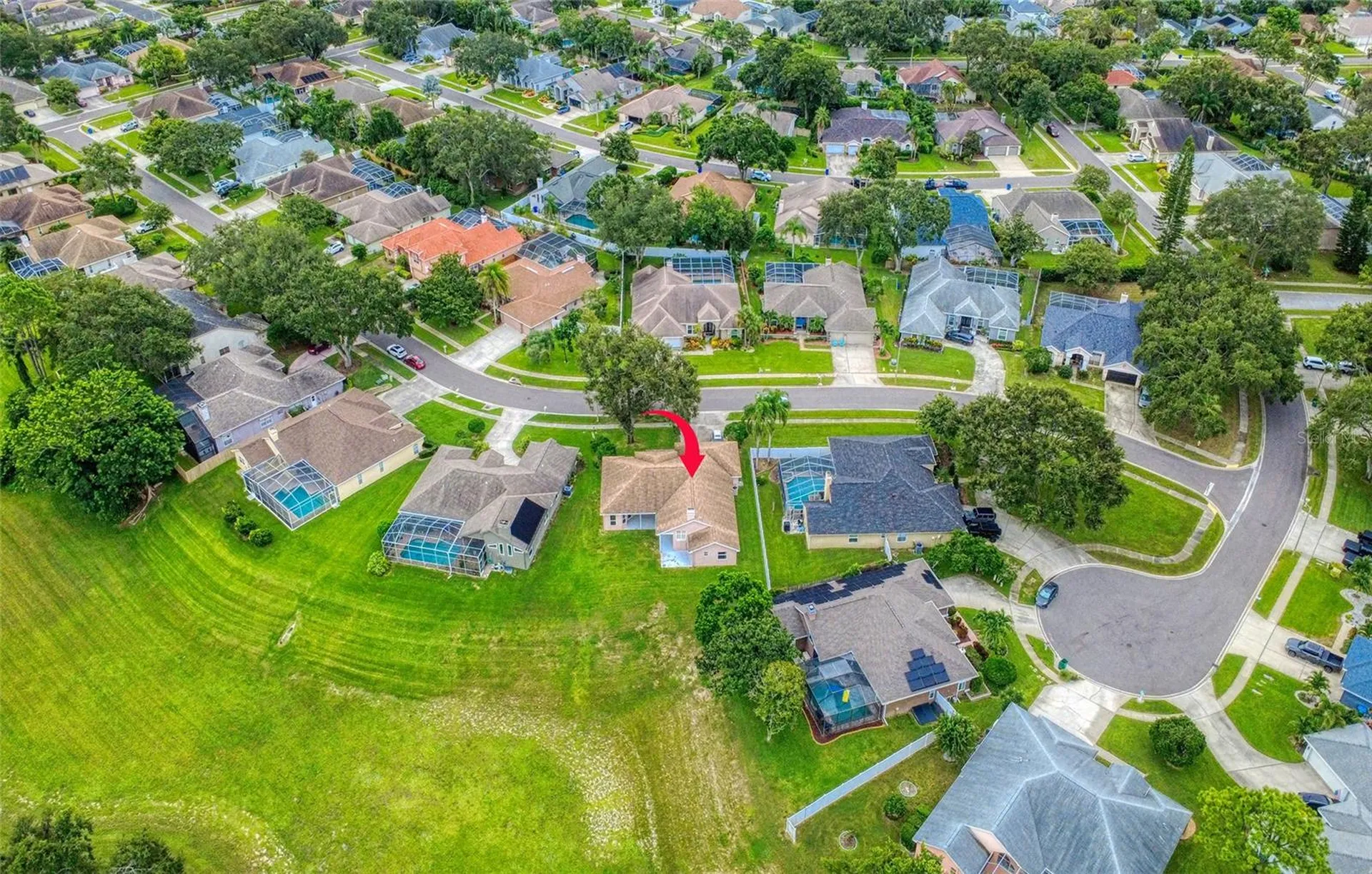 1775 Barn Owl Way Palm Harbor FL 34683