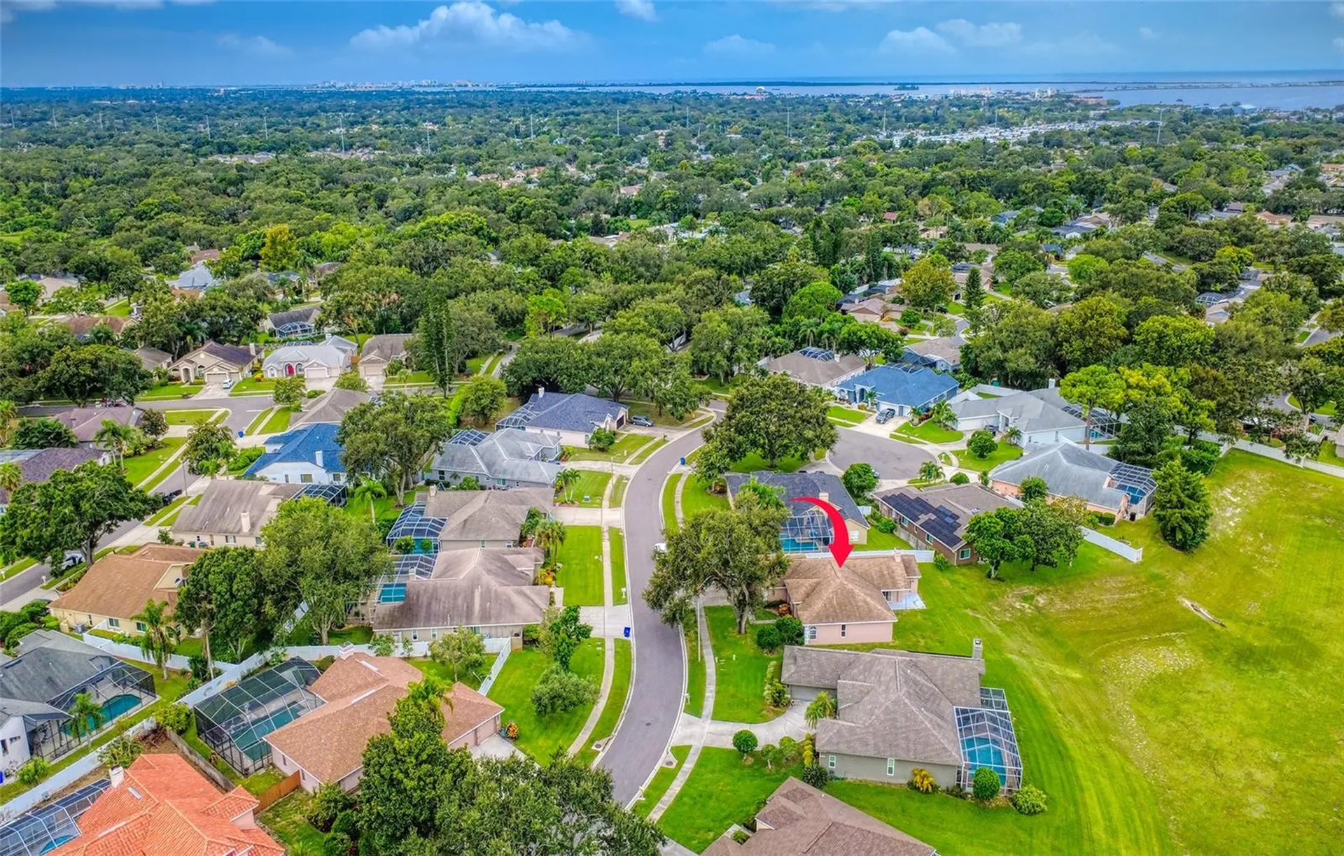 1775 Barn Owl Way Palm Harbor FL 34683
