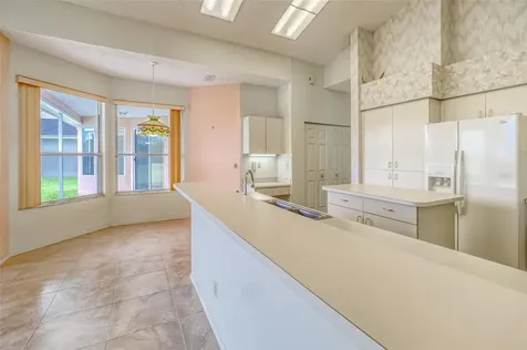 1775 Barn Owl Way Palm Harbor FL 34683