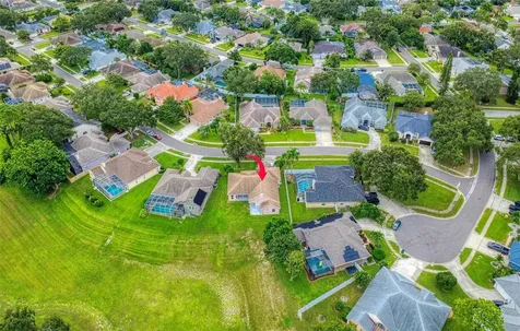1775 Barn Owl Way Palm Harbor FL 34683