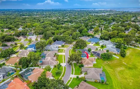 1775 Barn Owl Way Palm Harbor FL 34683