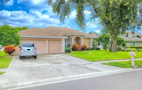1775 Barn Owl Way Palm Harbor FL 34683