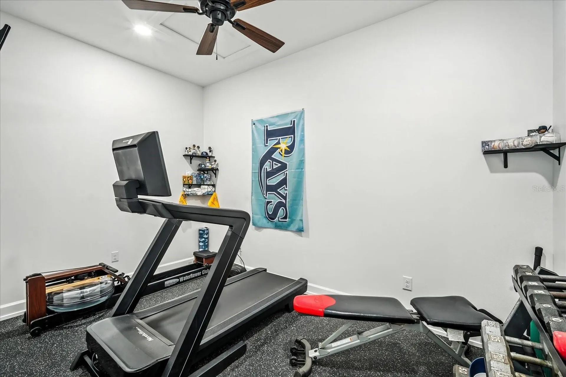 8317 Alafia Pointe Drive Riverview FL 33578