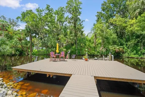 8317 Alafia Pointe Drive Riverview FL 33578