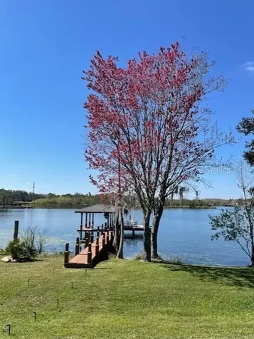 13048 Lake Roper Court Windermere FL 34786