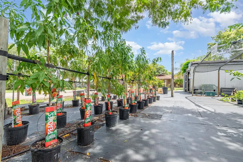 155 11th Avenue Osteen FL 32764