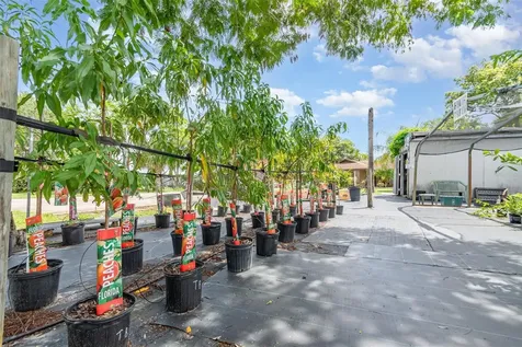 155 11th Avenue Osteen FL 32764