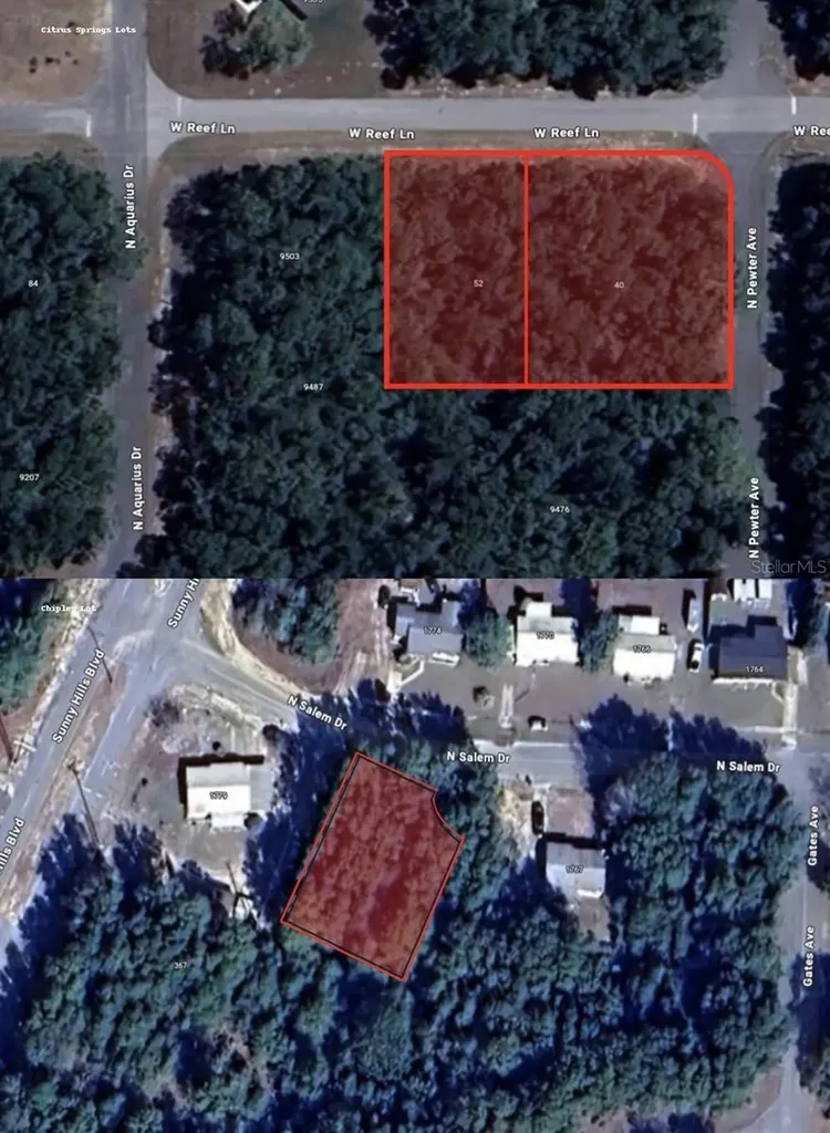 40 W Reef Lane Citrus Springs FL 34434