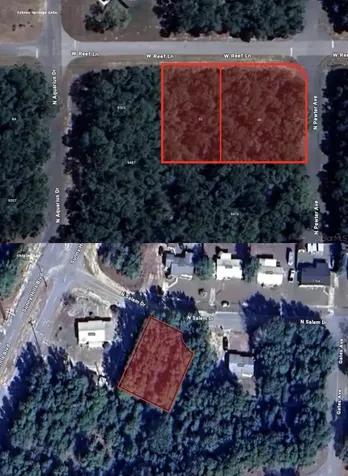 40 W Reef Lane Citrus Springs FL 34434