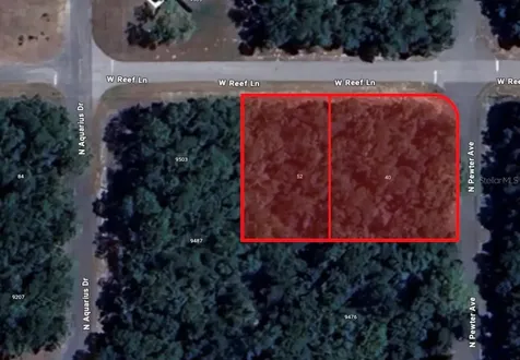 40 W Reef Lane Citrus Springs FL 34434