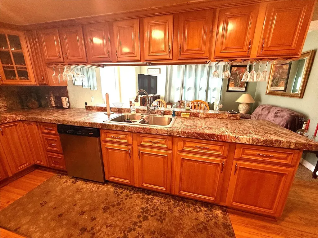 11019 Basquin Court Port Richey FL 34668