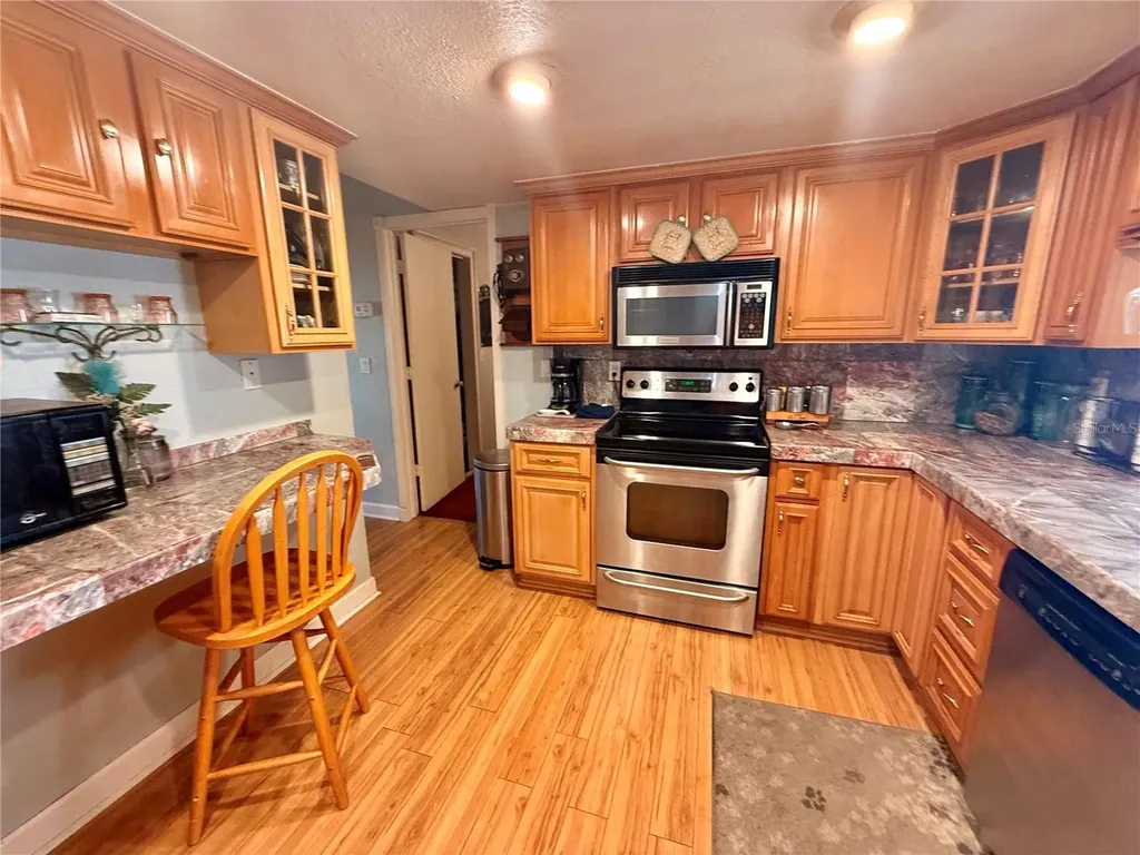 11019 Basquin Court Port Richey FL 34668