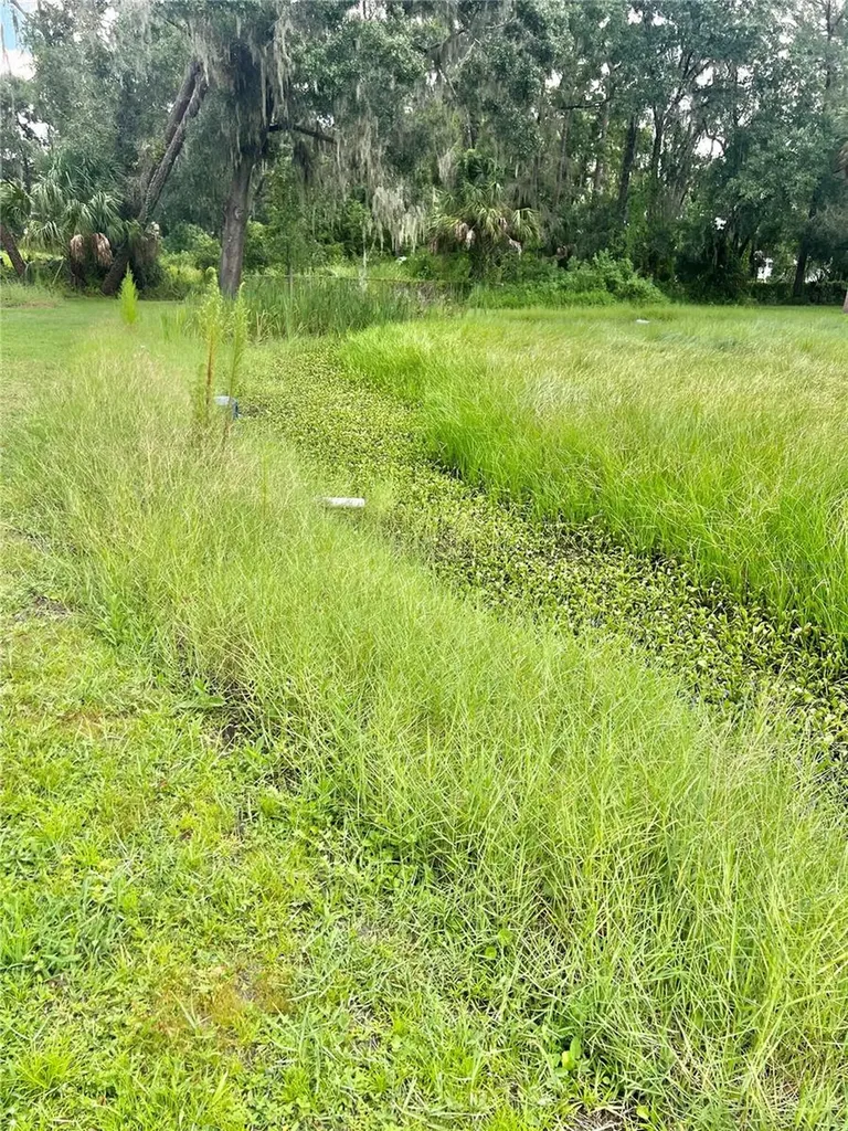 2903 Williams Boulevard Valrico FL 33596