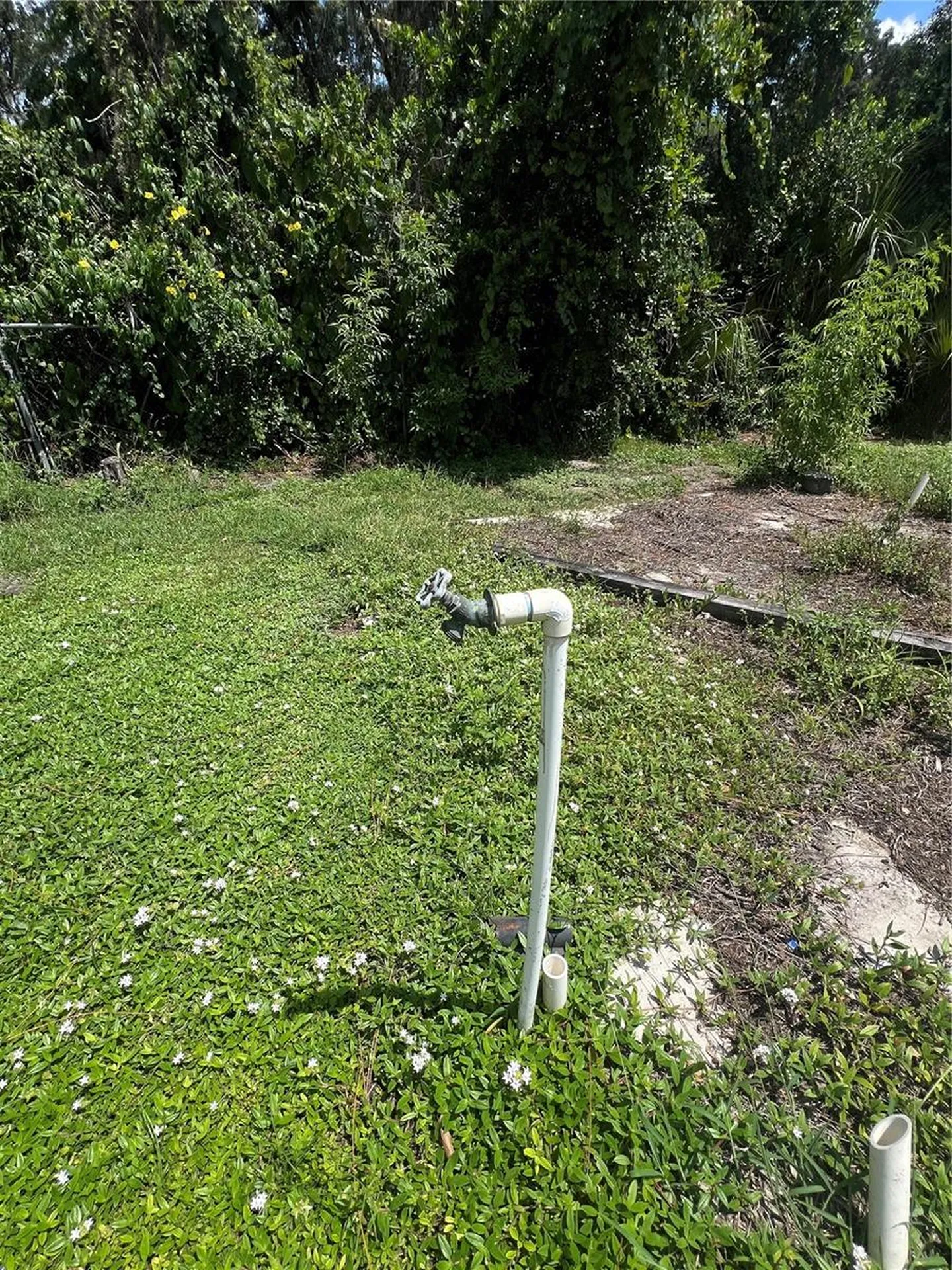 2903 Williams Boulevard Valrico FL 33596