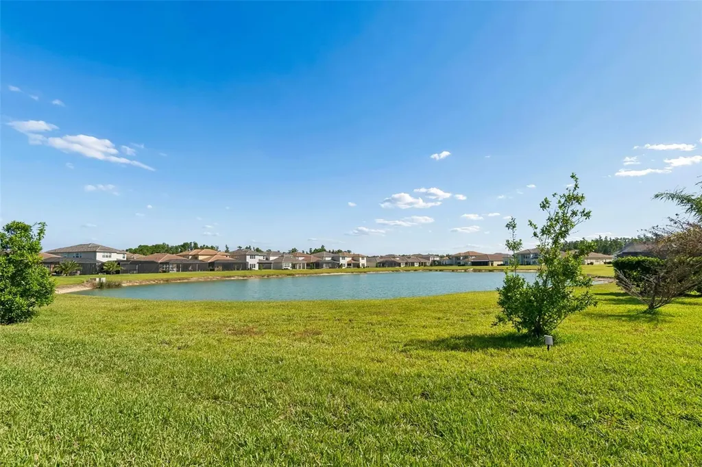 3084 Acacia Bay Avenue Wesley Chapel FL 33543