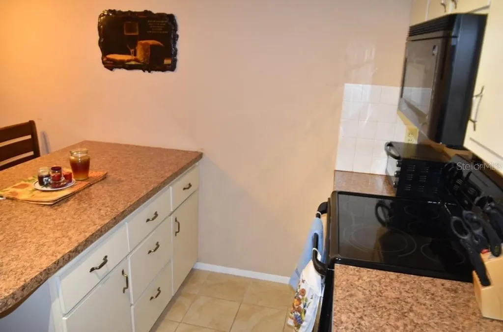4365 Tahitian Gardens Circle Holiday FL 34691