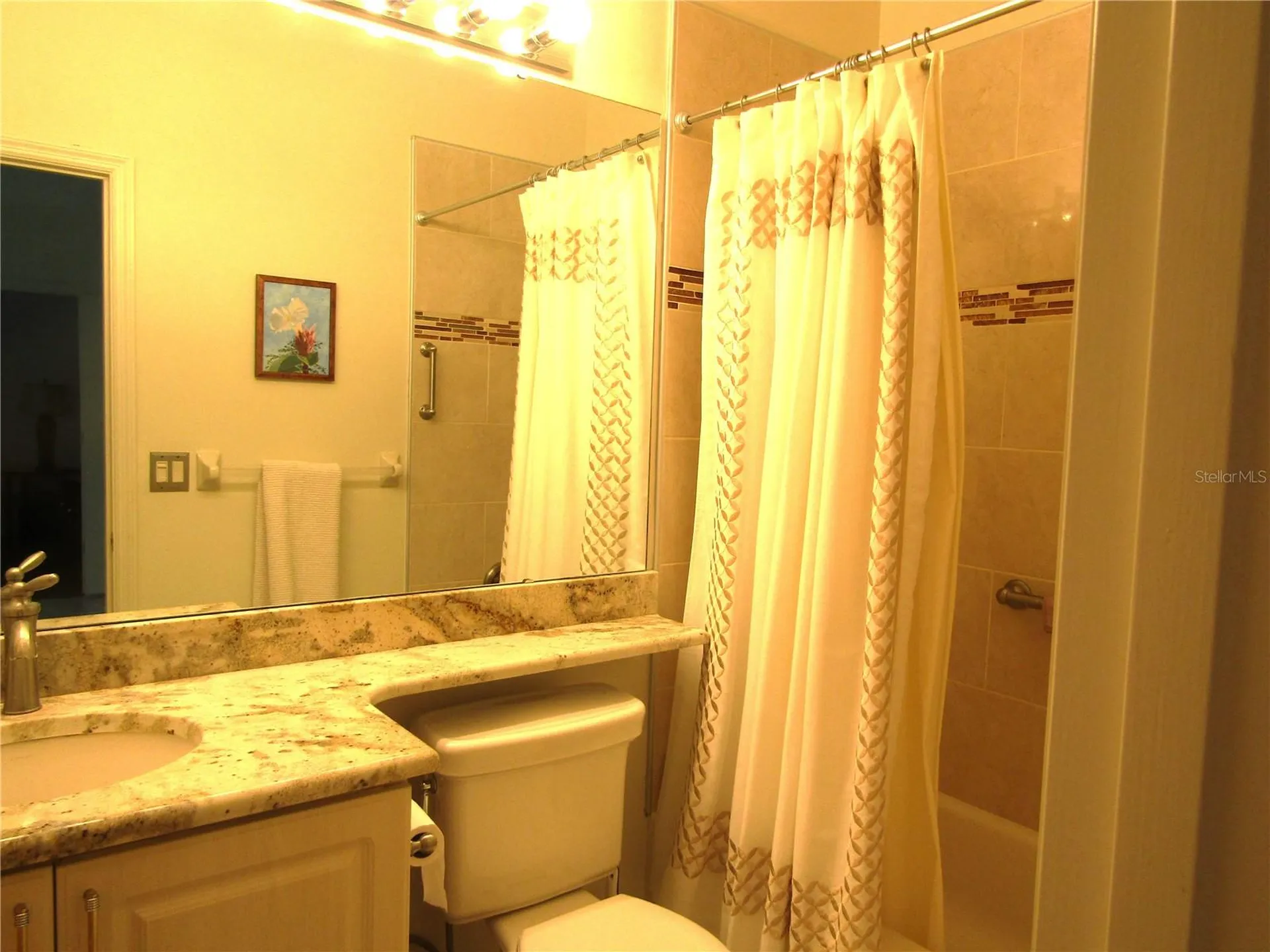 3881 Chatsworth Greene Court Sarasota FL 34235