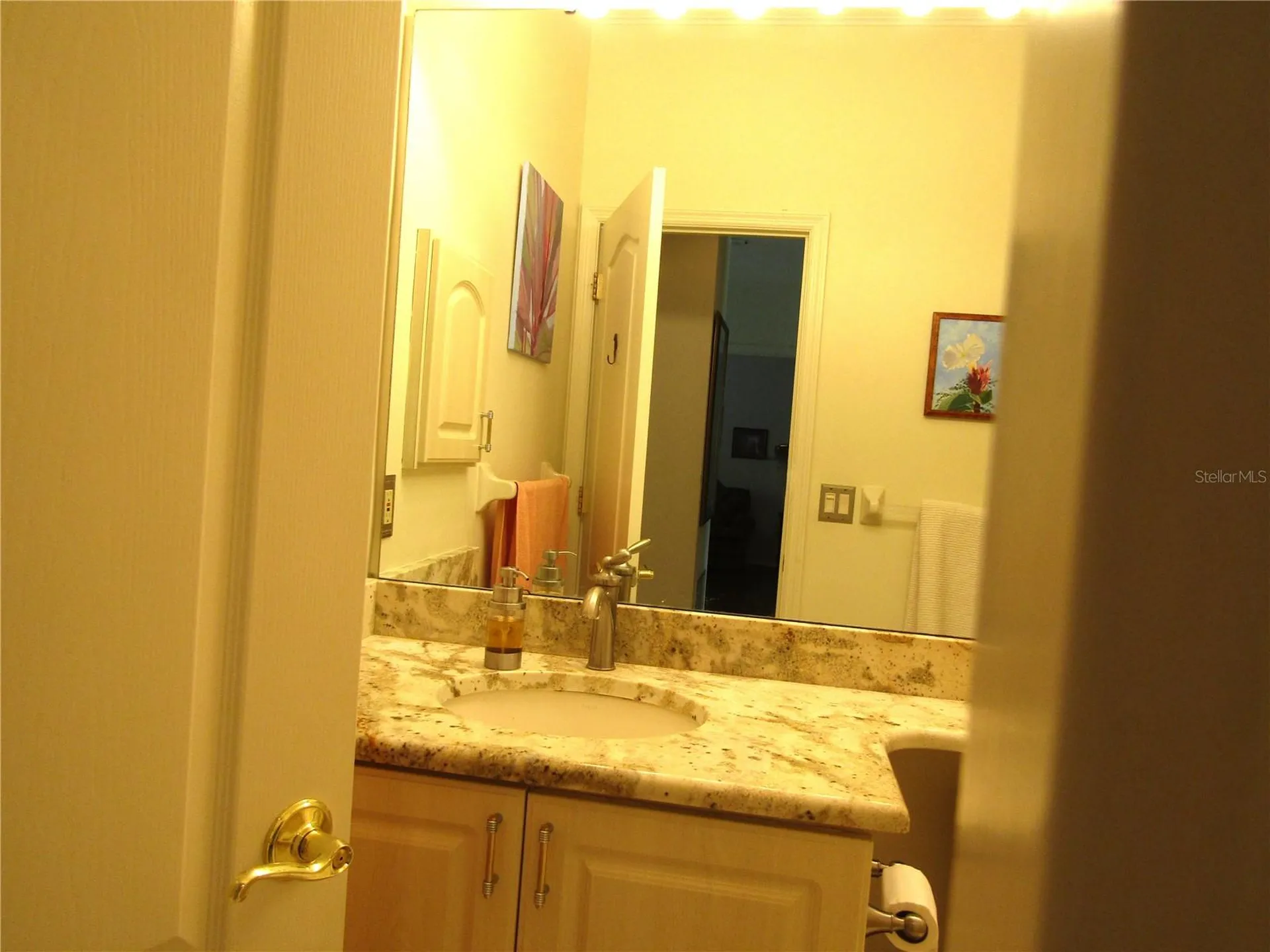 3881 Chatsworth Greene Court Sarasota FL 34235