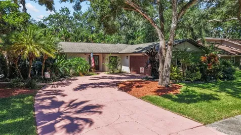 20 Pinewood Circle Safety Harbor FL 34695
