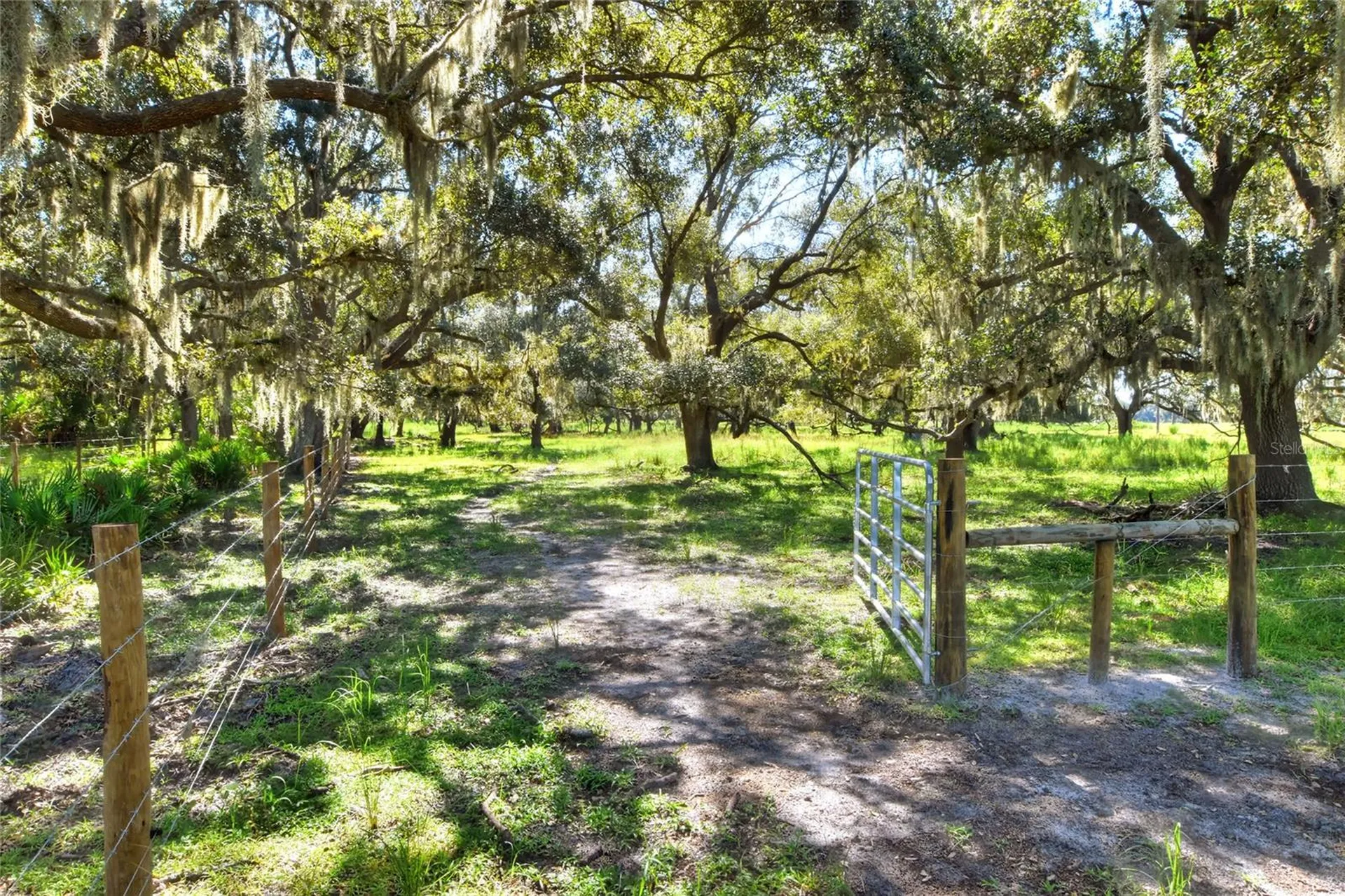 NW Limestone Heights Street Arcadia FL 34266