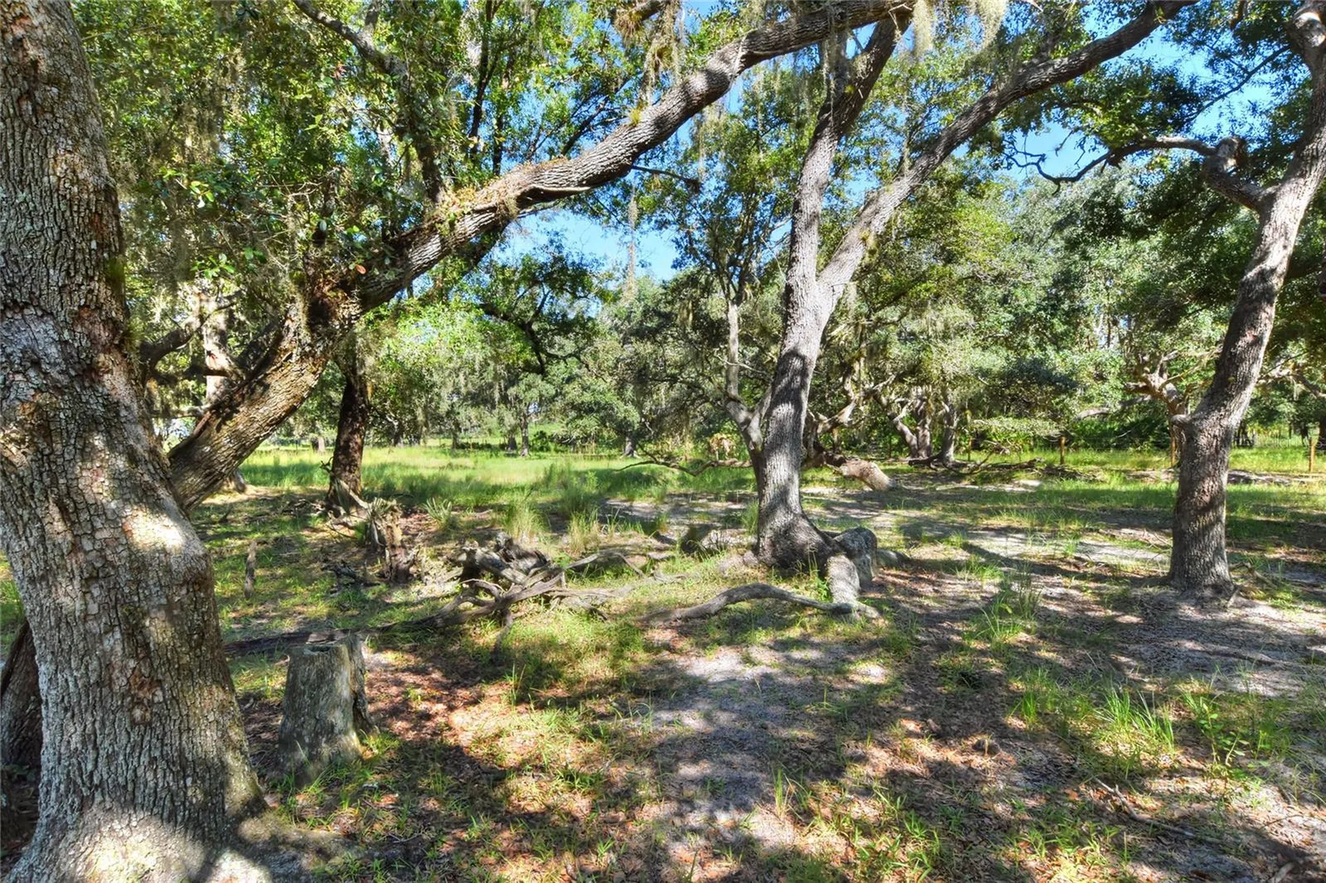NW Limestone Heights Street Arcadia FL 34266