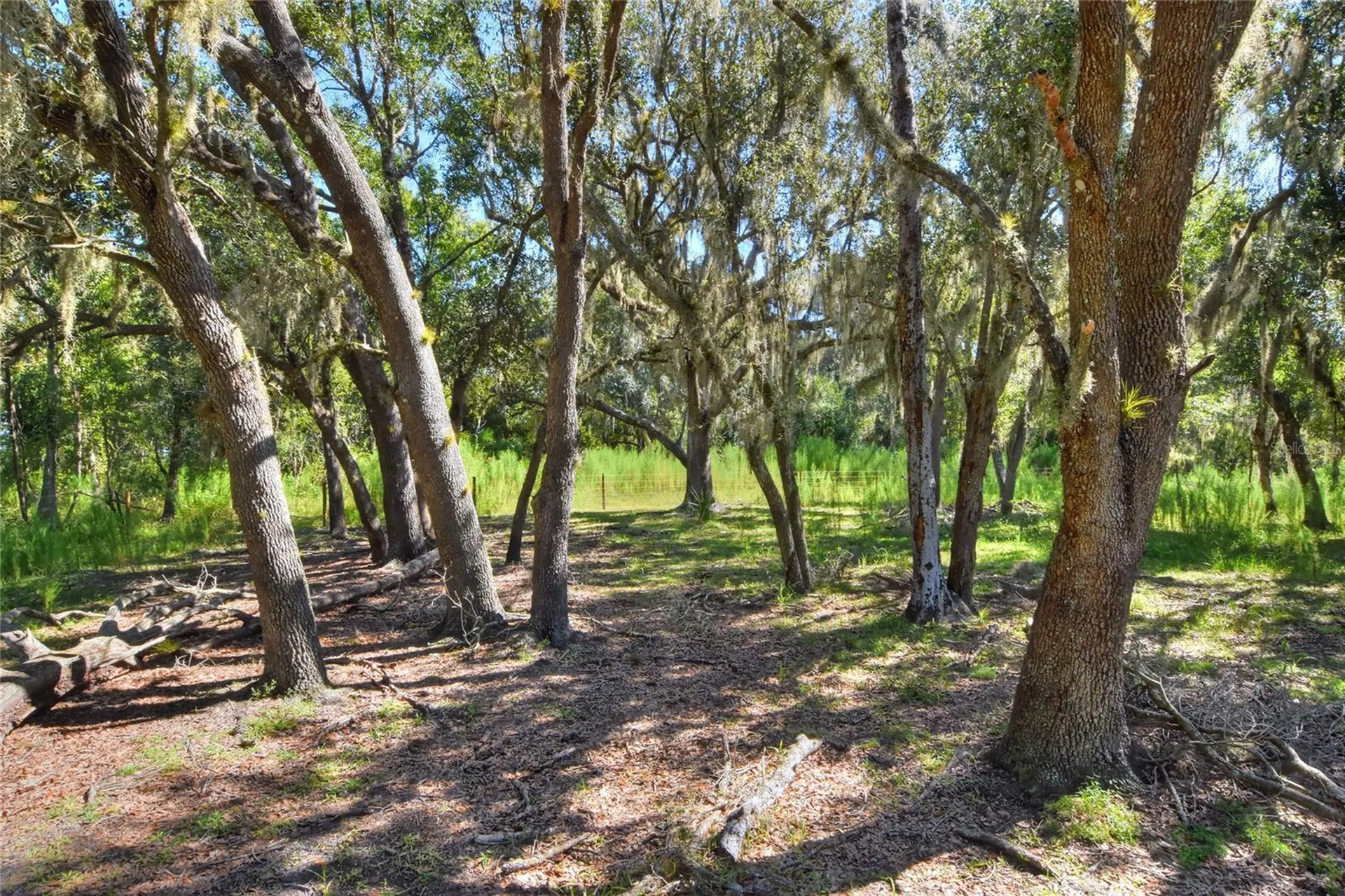 NW Limestone Heights Street Arcadia FL 34266