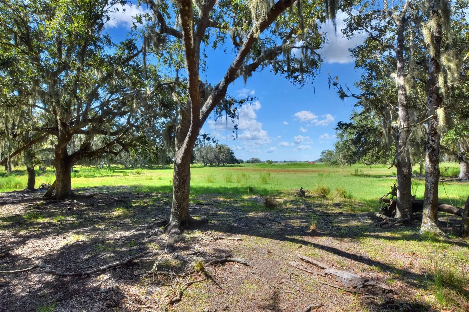 NW Limestone Heights Street Arcadia FL 34266