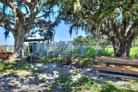 NW Limestone Heights Street Arcadia FL 34266