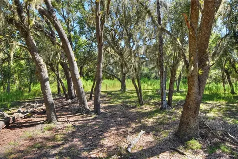 NW Limestone Heights Street Arcadia FL 34266