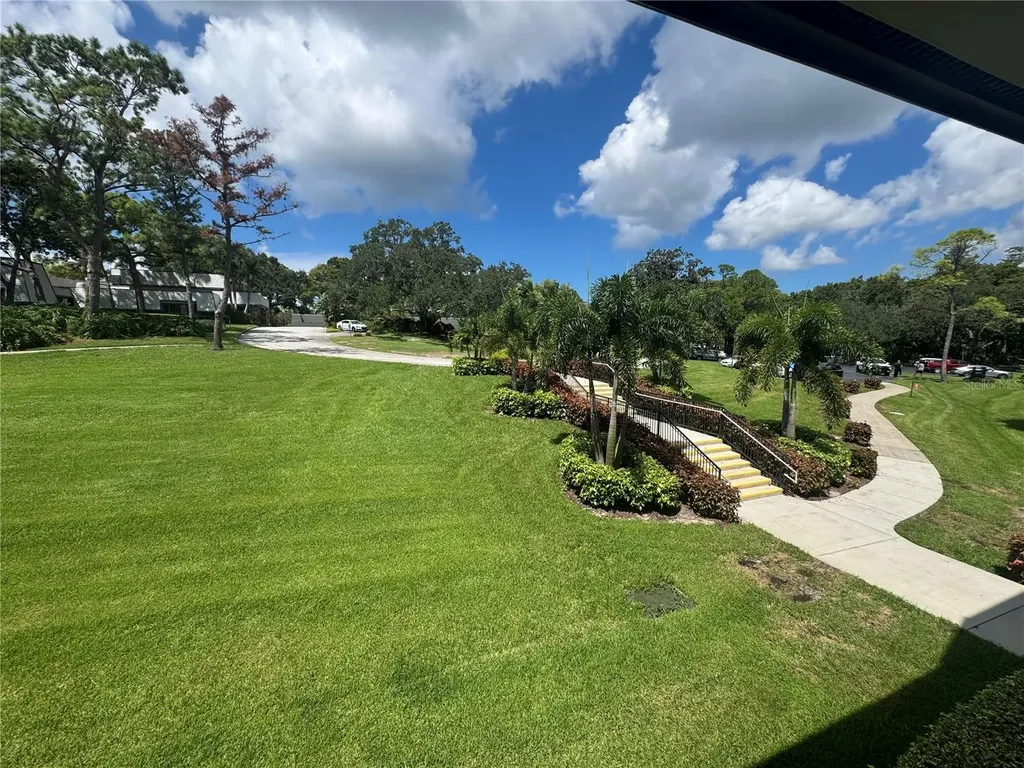 36750 Us Highway 19 N Palm Harbor FL 34683