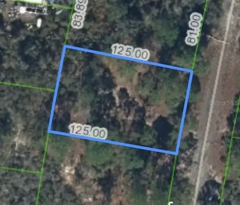 320 Blue Heaven Drive Lake Placid FL 33852