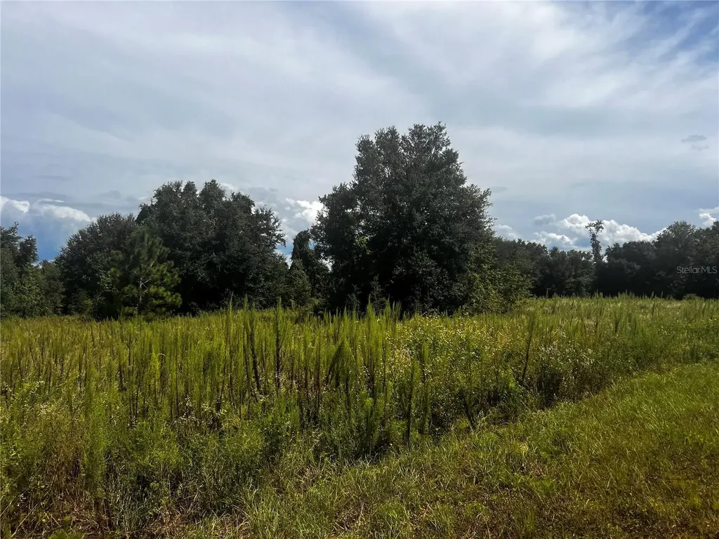 Sugarloaf Mountain Road Clermont FL 34711